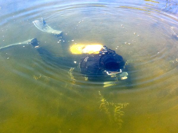 Deer Lake Association wins award!